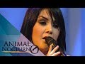 Animal Nocturno - Programa del 16 de Diciembre de 2005