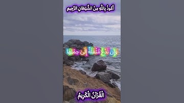 🌺القرآن الكريم 🌺ما تيسر من سورة فاطر