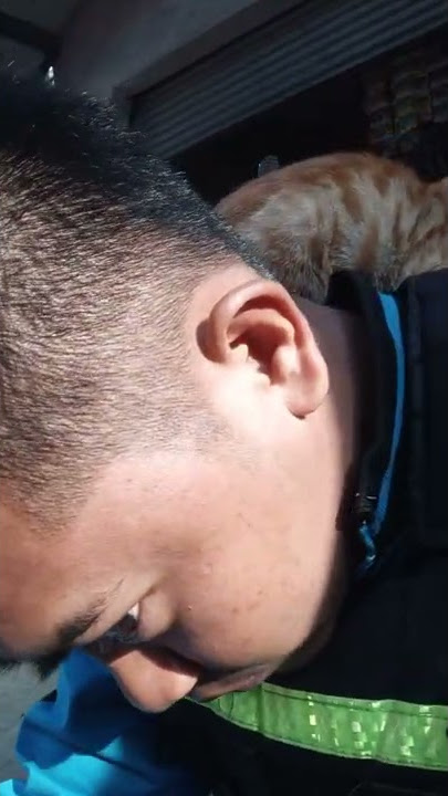 ULAT BULU TERBESAR DI DUNIA HINGGAP DI PUNDAK😱