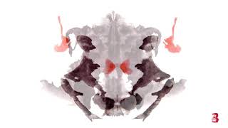 The Rorschach inkblot test is a method of psychological evaluation