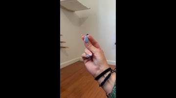 5 Cats, 1 New Litter-Robot 5