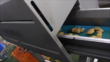 Máy Cắt Lát Ngang Gừng Cấp Đông