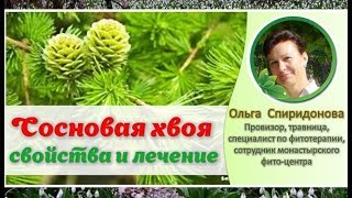 Сосновая хвоя - польза и рецепты. Противовирусные при простуде. Ванны с хвойным экстрактом. Сосновая хвоя - польза и рецепты. Противовирусные при простуде. Ванны с хвойным экстрактом.