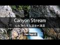 Healing｜Canyon Stream—Crystal-Clear Water Between Rocks (3h)｜Deep Sleep・Cleansing・ASMR