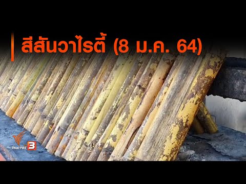 สีสันวาไรตี้ (8 ม.ค. 64)