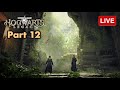 🔴 Hogwarts Legacy Livestream PART 12 | zkael★