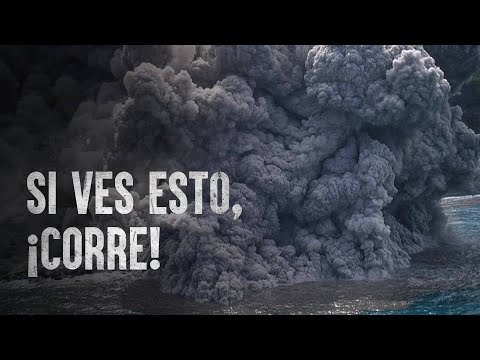 Cómo Sobrevivir una