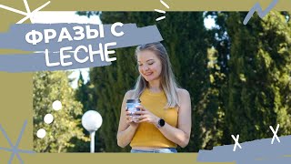 Устойчивые фразы с LECHE