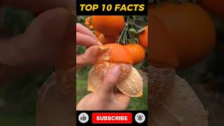 Top 10 Amazing Facts About Food 🥑🥝 Resimi