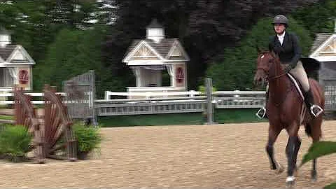Video of MTM EXCEPTIONAL ridden by ABIGAIL DAVENPO...