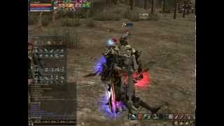 L2Elite Smaug3D
