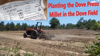 Dove field 2024 Planting Dove Proso Millet May 16th