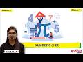 Numbers (1-20)  | Math | Chapter - 1 | Class - 1 | By Riya Mam | Radiant Books