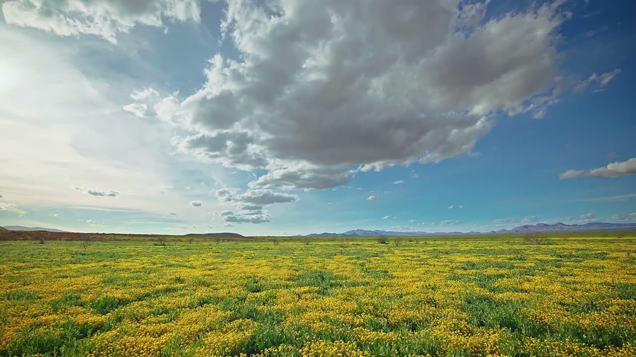 On top of Peridot Mesa in Arizona. 8K, 60p Raw Video on R5C