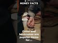 Money Facts 21 |How to Earn Money Online | Moneyable