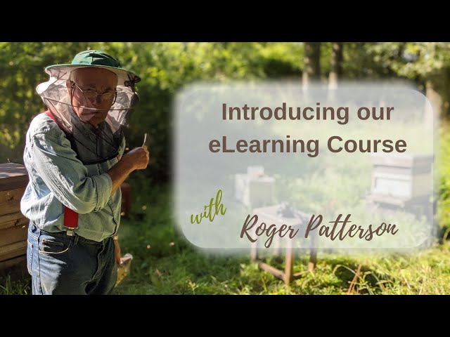 eLearning #sustainablebeekeeping