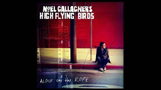 Noel Gallagher's High Flying Birds - Alone On The Rope