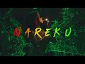 Nareku - Ragga Mix (Reggae, Raggastep, Dub) Mp3 Song