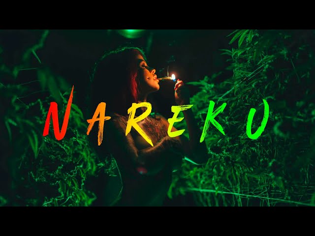 Nareku - Ragga Mix (Reggae, Raggastep, Dub) class=