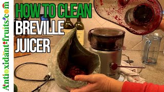 How to Clean Breville Juicer - Antioxidant-fruits by antioxidantfruits 568 views 3 years ago 3 minutes, 54 seconds