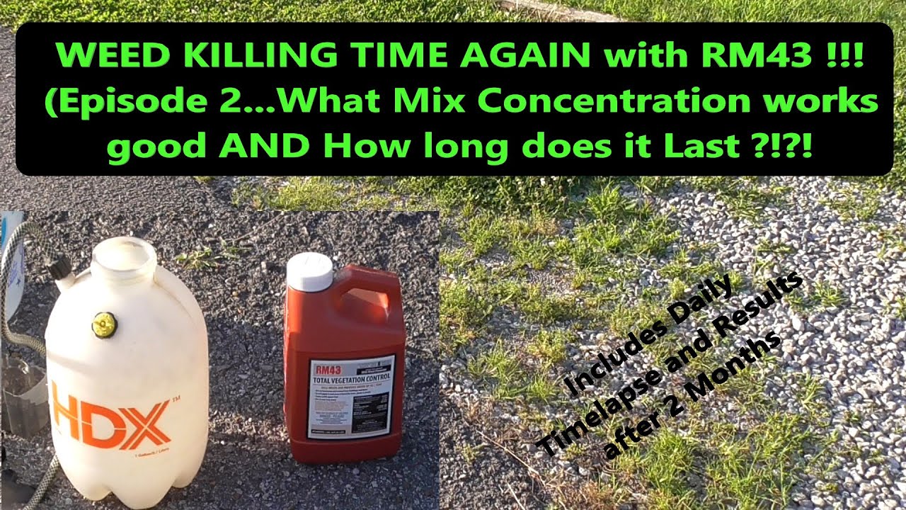 RM43 Weed Killer - What Concentration to Use and How Long does it Last