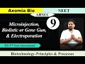 Direct method of Gene transfer| Biotechnology| AHSEC| NEET| NCERT Biology| HS Biology| Axomia Bio