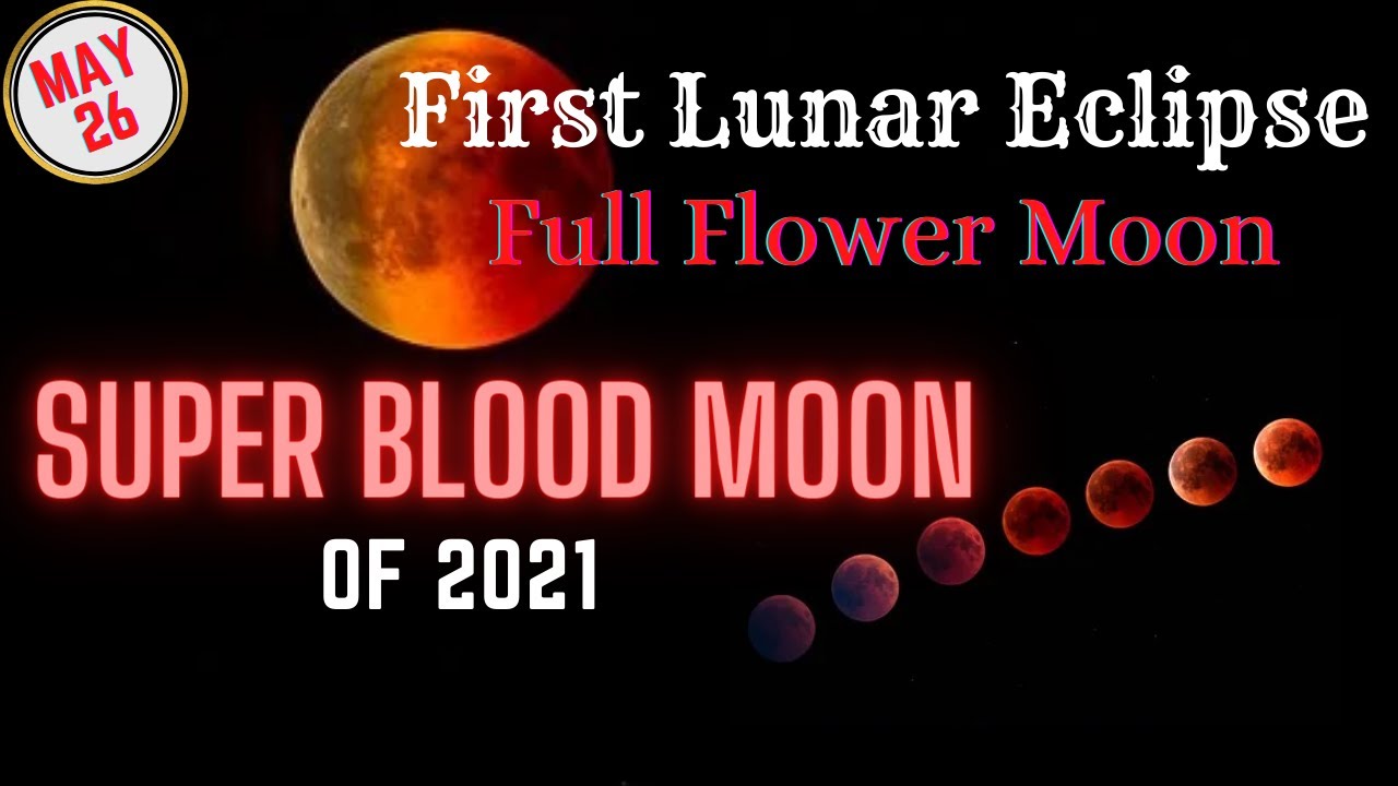 How to watch: Super Flower Blood Moon lunar eclipse is coming ...