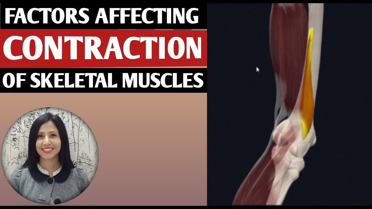 FACTORS AFFECTING SKELETAL MUSCLE CONTRACTION| PHYSIOLOGY|2023, 