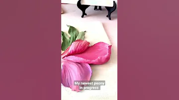A New 3d Peony In Progress Reief Painting 