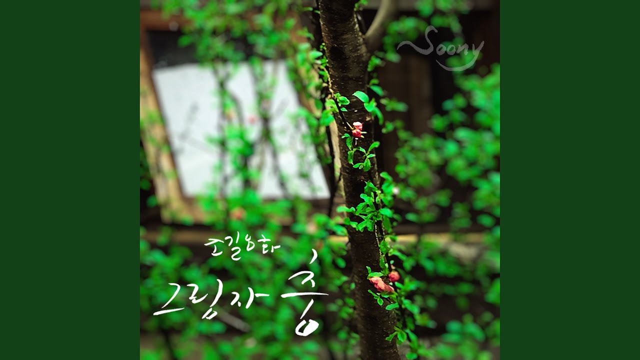 在 YouTube 上观看 Shadow Dance (그림자 춤) 在 YouTube 上观看 Shadow Dance (그림자 춤)