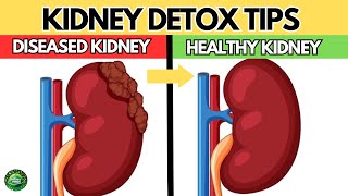 The 6 BEST Ways to Detox and Cleanse Your KIDNEYS Naturally by Healthy Finds 138 views 6 days ago 10 minutes, 7 seconds