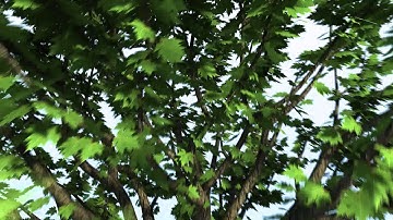 Lightwave 3D Tree with DP Verdure