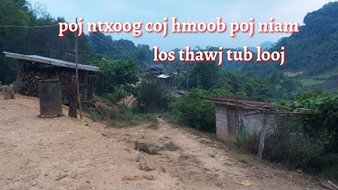 poj ntxoog coj hmoob poj niam los thawj tub looj 6-5-2022