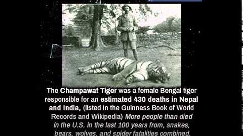 Unbelievable Facts (Latest Facts) Hard to believe !! 2014 (Volume - 1)