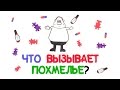 Что вызывает похмелье [AsapSCIENCE]