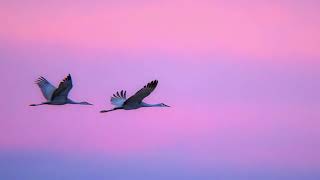 Instrumental Music Relaxing Piano "Before Dawn Finds Us" screenshot 3