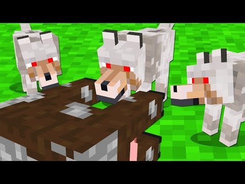 Video: Minecraft-da Qanday Qilib Terini Taxallusga Almashtirish Mumkin