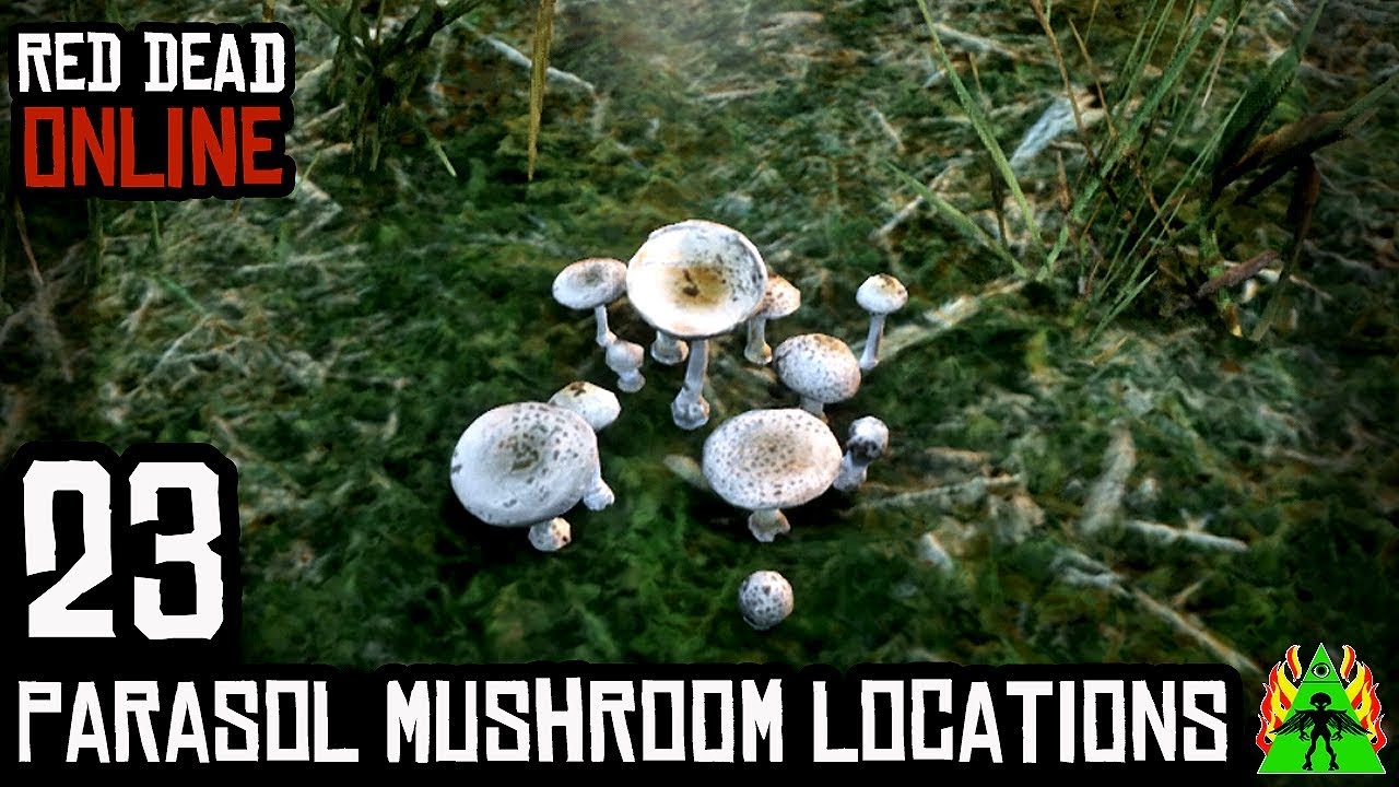 Red Dead Redemption 2 ONLINE PARASOL MUSHROOM LOCATIONS YouTube