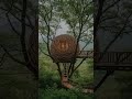 Amazing Bird Nest Treehouse in the Forest  #shorts  #cabin