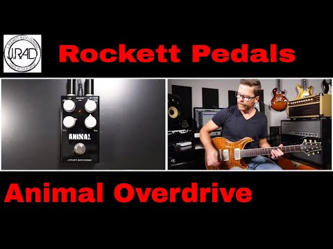 Rockett Pedals Animal OD Tour Series Quick Listen Demo Video by Shawn Tubbs