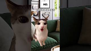 SIRI is WILD | Cat Memes #shorts #catmemes