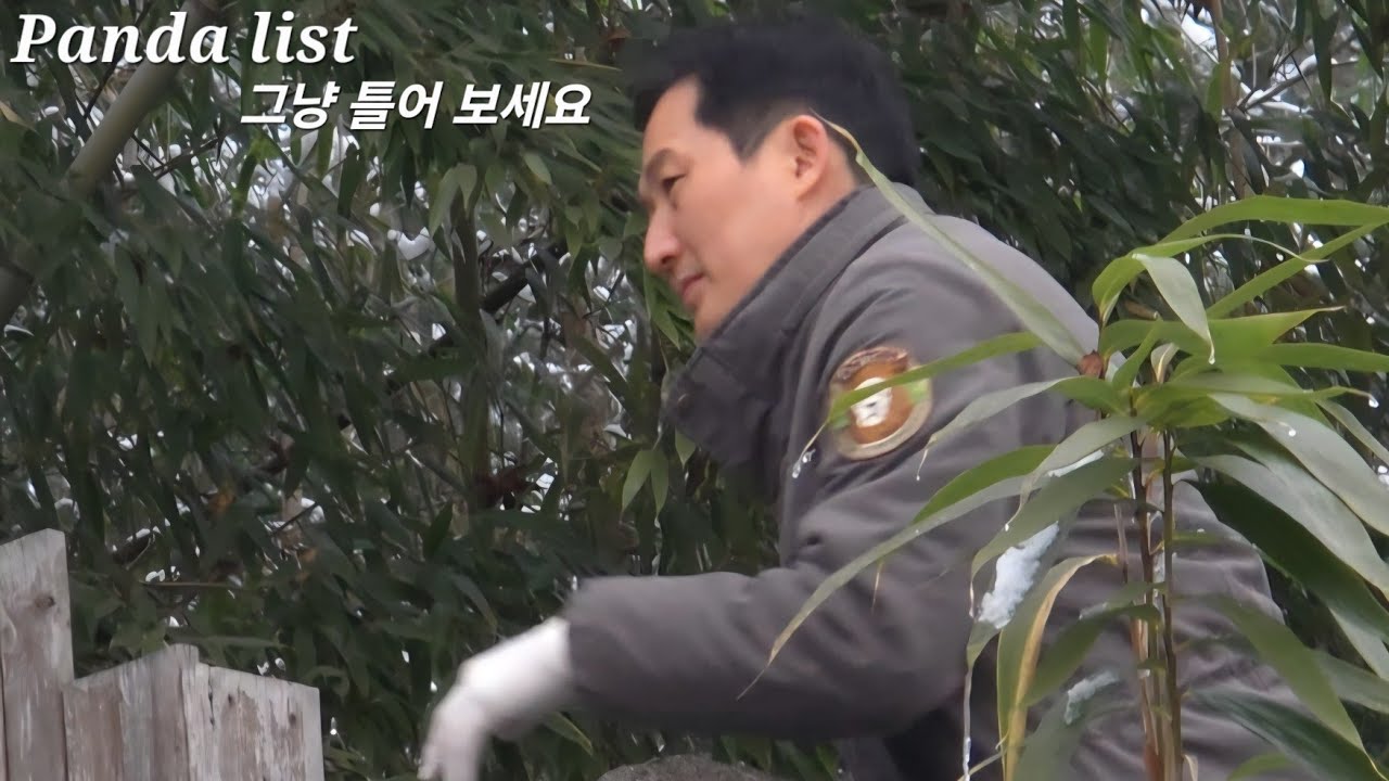 뒷이야기가 궁금하다고 하셔서 올렸어요 