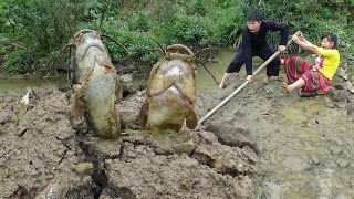 Skills Catch Unique Fish  Primitive Fishing skills Dig Cracks Finding Fish Meet Catfish