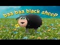 Baa baa black sheep song  the classic nursery rhyme