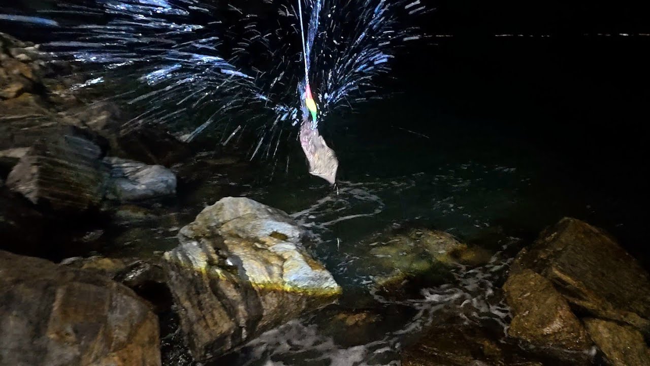 10 Φεβρουαρίου 2026  Καλαμάρια στο λιμάνι της Ολυμπιάδας 