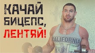 Упражнения на бицепс. Как накачать бицепс дома? Упражнения на бицепс. Как накачать бицепс дома?