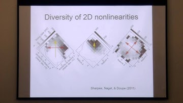 Allison J. Doupe Memorial Symposium - Tatyana Sharpee, PhD
