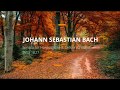 [2 HOUR REPEAT] BACH: Sonata for Harpsichord &amp; Cello in G major