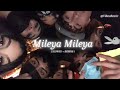 mileya mileya ( slowed + reverb )