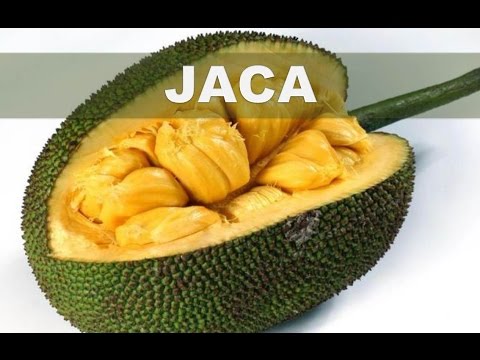 Vídeo: La fruita del pa és el mateix que la jaca?